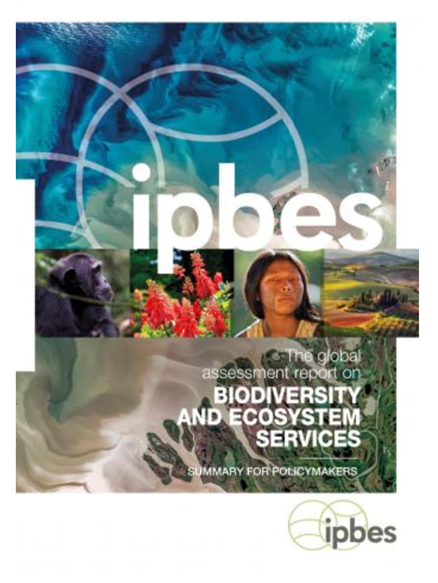 Elurikkuse ja loodushüvede koostöökogu (IPBES) globaalse aruande kokkuvõte﻿