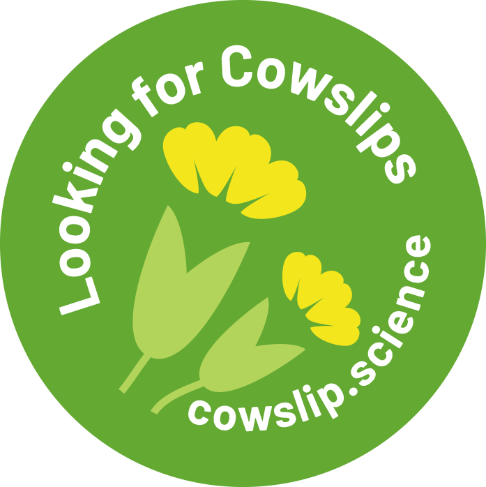 Lookingfor Cowslips logo