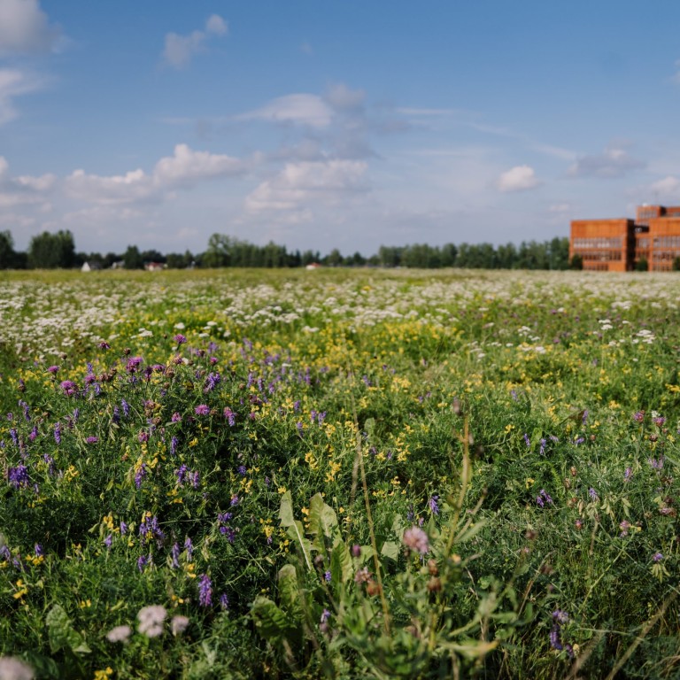 Maarjamõisa väli Foto Mana Kaasik