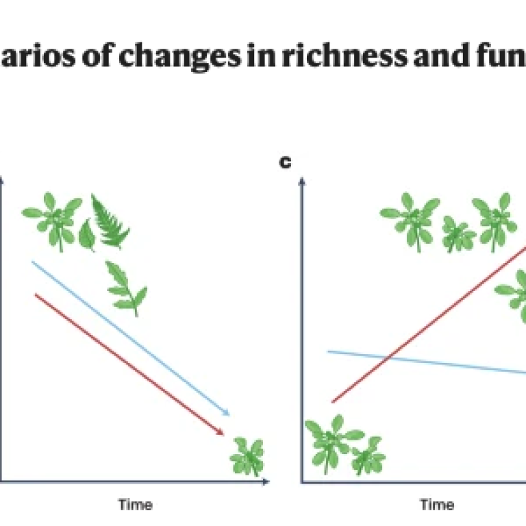 Reitalu, T., Nogué, S. Functional vegetation change over millennia. Nat Ecol Evol (2023)