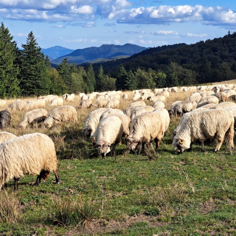 Putna Vrancea 09.2025